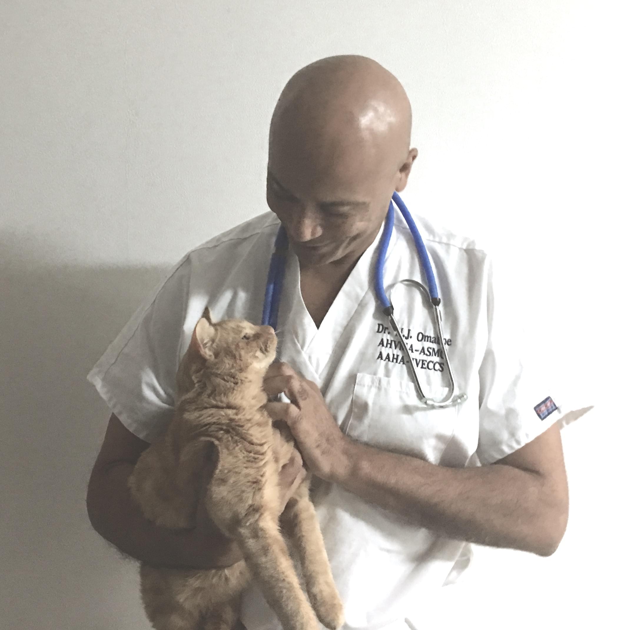 bioresonance, Geneva Animal Hospital, Animal Hospital Geneva,Cabinet Vétérinaire International,Geneva Veterinarian, veterinarian Geneva