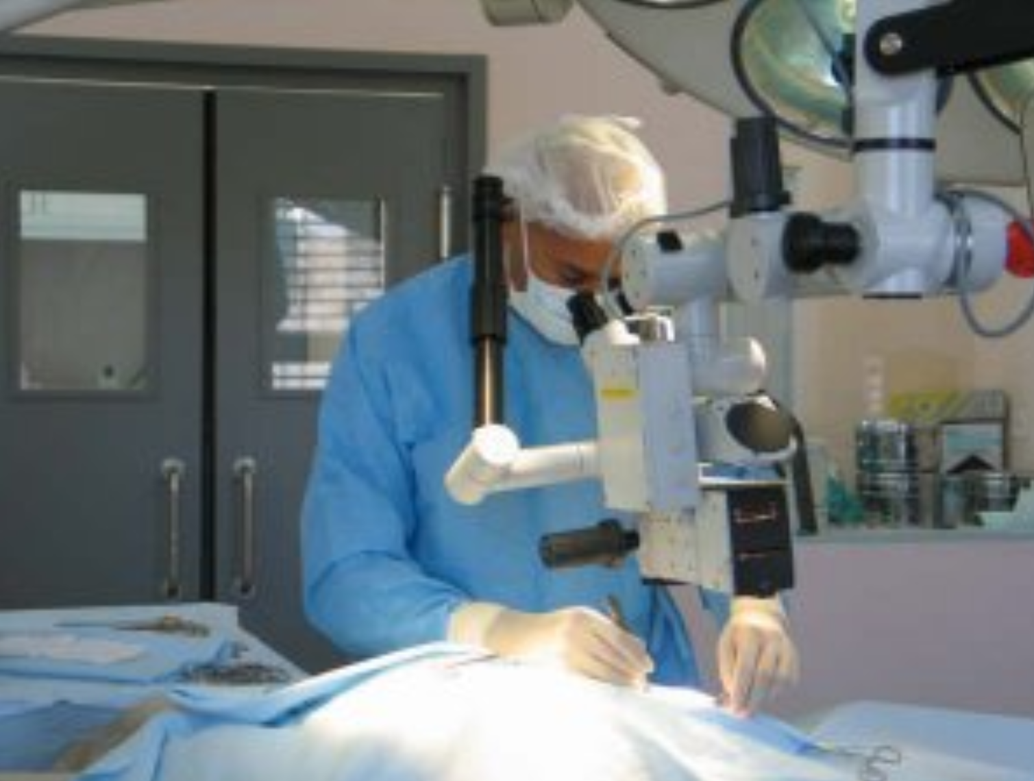  Geneva Animal Hospital, Animal Hospital Geneva,Cabinet Vétérinaire International, Geneva Veterinarian, veterinarian Geneva