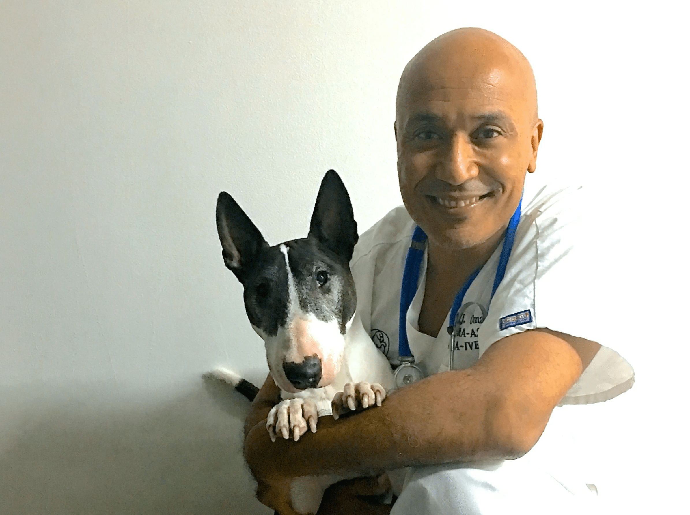 Geneva Animal Hospital, Animal Hospital Geneva, Cabinet Vétérinaire International, Geneva Veterinarian, veterinarian Geneva